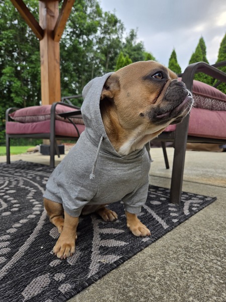 Entry image for Mabel. Clicking this image will show a larger photo