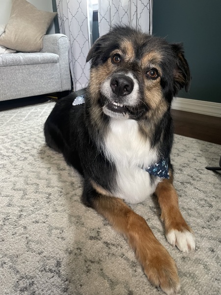 Coco