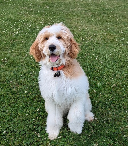 Benny 