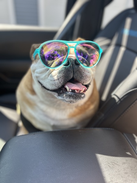 Entry image for London . Clicking this image will show a larger photo