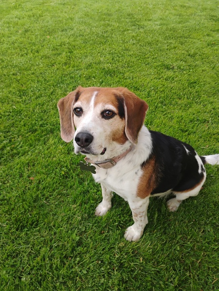 Entry image for Myles. Clicking this image will show a larger photo