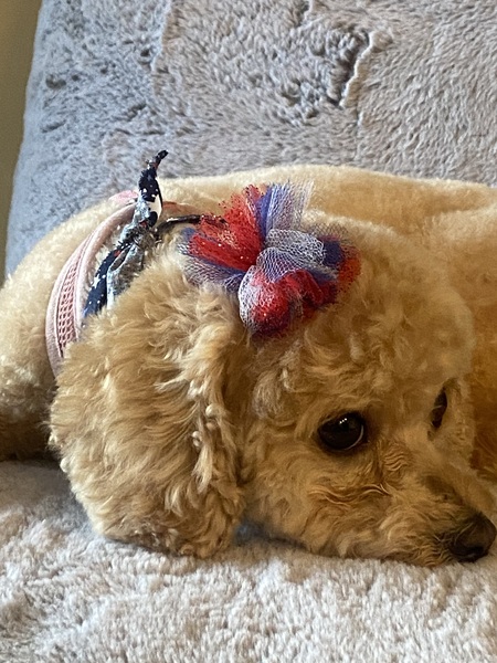 Winnie