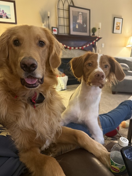 Bo & Goose