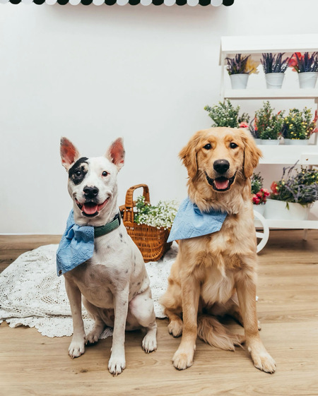 Dot and Harper