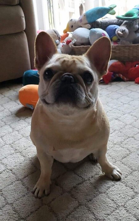 Entry image for Weezie. Clicking this image will show a larger photo