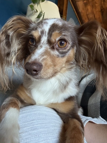 Entry image for Max. Clicking this image will show a larger photo