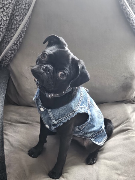 Entry image for JAXSON . Clicking this image will show a larger photo