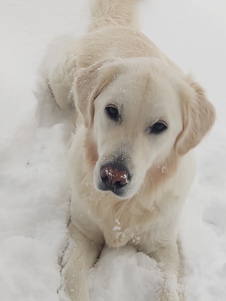 Entry image for Odin . Clicking this image will show a larger photo