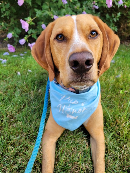 Entry image for Archer. Clicking this image will show a larger photo