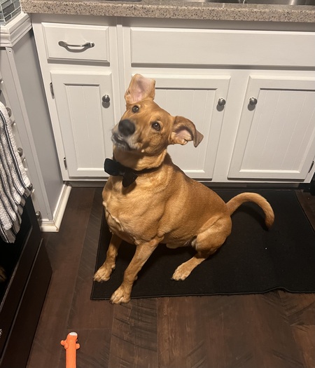 Entry image for Prince Charles “Charlie”. Clicking this image will show a larger photo