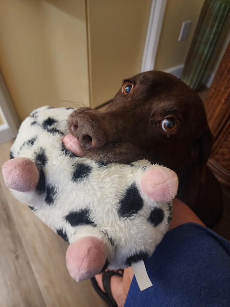 Coco