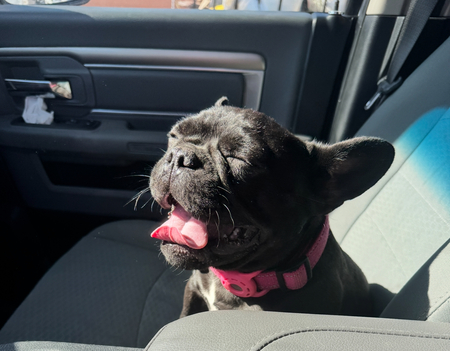 Ellie