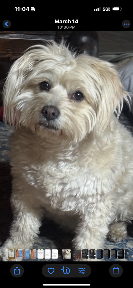 Izzy 