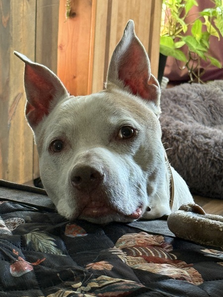 Jax