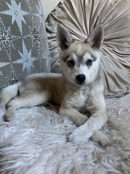 Skye