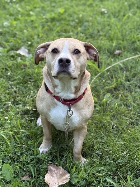 Tyson