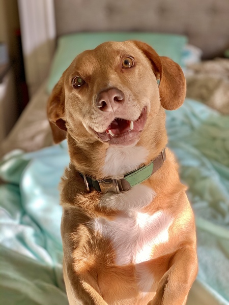 Walter