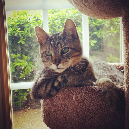 Buster
