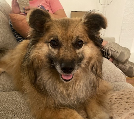 Ringo