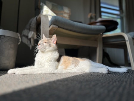 Winnie