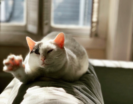 Elsie