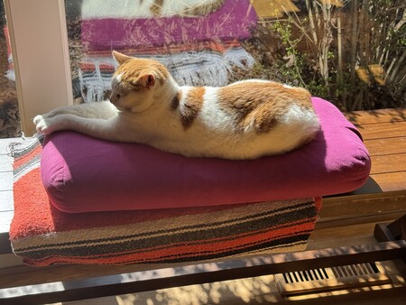 Kimchi