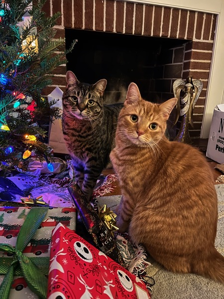 Atticus & Baby Jude