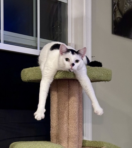 Gus