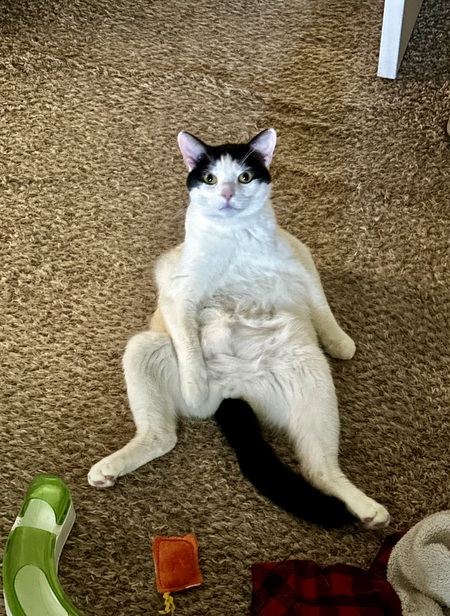 Winston 