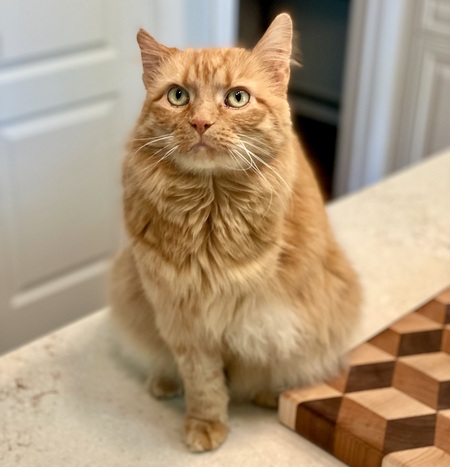 Murphy