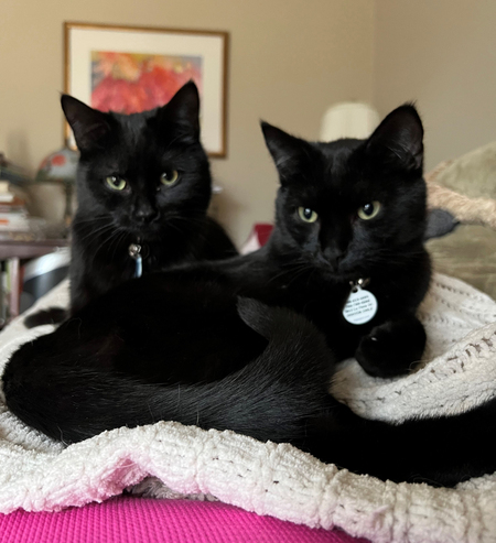 Entry image for Ichabod Sage and Salem Giles. Clicking this image will show a larger photo
