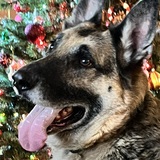 Entry image for Kaiser 
