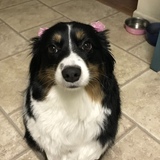 Entry image for Macy 