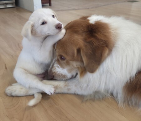 June & Alfie