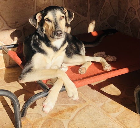 Entry image for Valentina. Clicking this image will show a larger photo