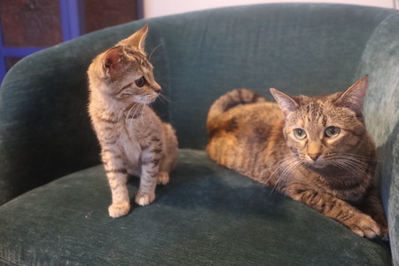 Eloise and Bug