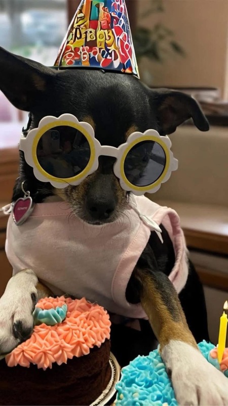Zoe