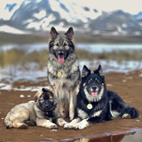 Entry image for The V Team