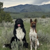Entry image for Harry & Hardin