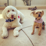 Entry image for Macy and Key