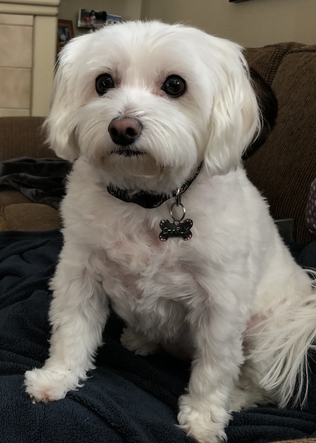 Entry image for Charly. Clicking this image will show a larger photo