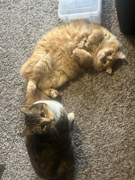 Lenny & Lucy