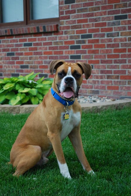 Max