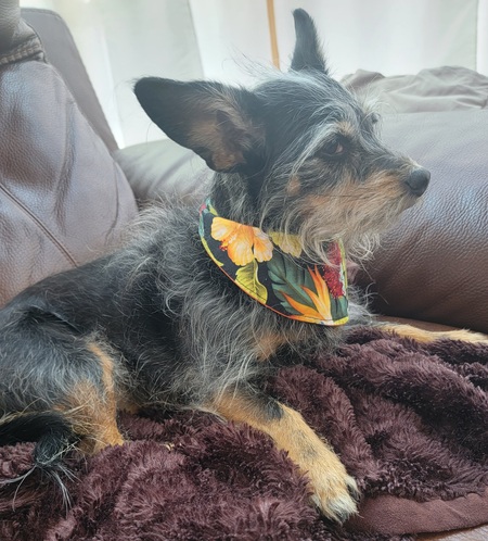 Daisy Mae