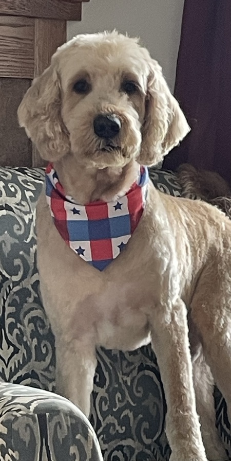 Murphy 