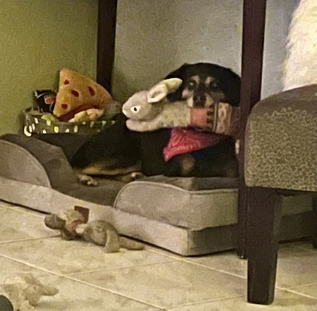 Ernie