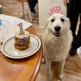 Entry image for Colleen