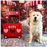 Entry image for Kirby