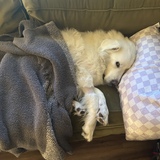 Entry image for Parker