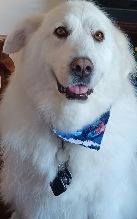 Chloe